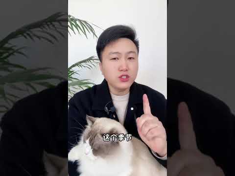 养猫千万不能惯，一惯就完蛋。养猫经验分享 科学养宠攻略 宠物驱虫 养猫人 新手养猫