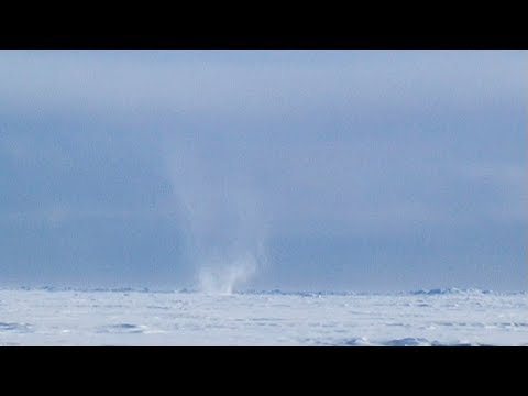 A tornado of snow in Devon Island - Nanoq 2007 expedition