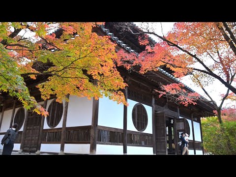 雪舟の逸話と紅葉の寺　備中井山宝福禅寺