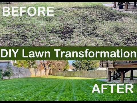 Ultimate DIY Fall Lawn Care: Aeration & Overseeding for a Lush Green Yard!