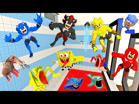 🚿 BATHROOM NEW SONIC KONG TAPES FAMILY / SPONGEBOB EATER ELONGATED ZOOCHOSIS SPARTAN KICKING in GMOD