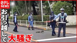 【カルガモの“お引っ越し”】子供が立体駐車場に落下  消防が救出も…