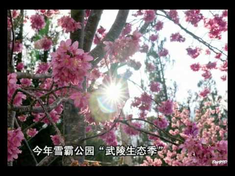 談託五套節 0303拍客114期.wmv