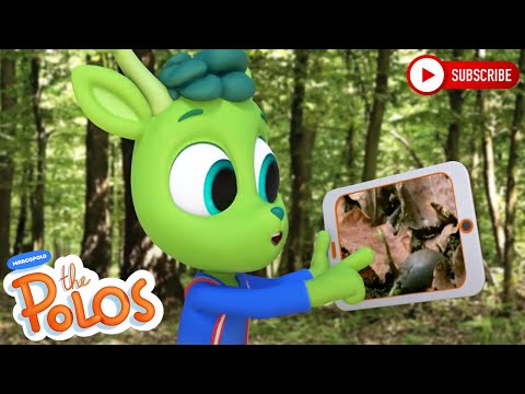 Learning about different plants | The Polos | Adventure Learning | Learn At Home