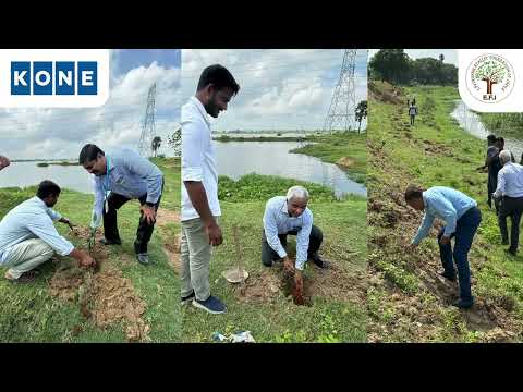 Poonamallee Lake Restoration | EFI's Lake Night Show | Chennai | பூந்தமல்லி |