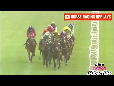 Warmonger / 4 Race Newbury 25 Jul 2024