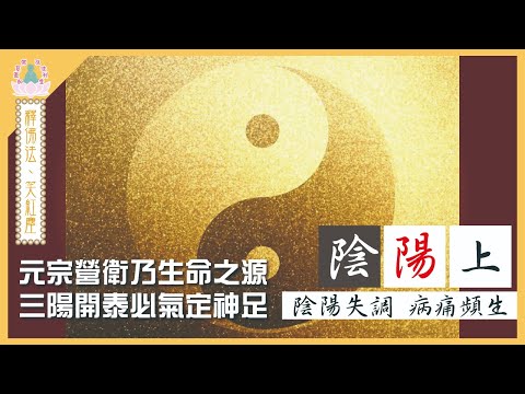 【 象神金殿 】 : 《 佛系真如 弘法利生 》 | 釋佛法  笑紅塵 | 陰陽•上 | 住持現場弘法分享 | 粵語講述 | 中文字幕 | Harmony of Yin and Yang .....