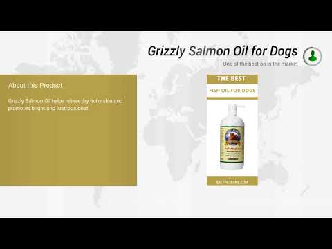 Grizzly Salmon Oil for Dogs