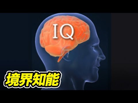 境界知能とは？その特徴や意外にやっかいな理由とは？