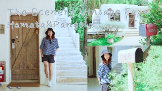 The Scenery Vintage Farm Hamata&Pangola