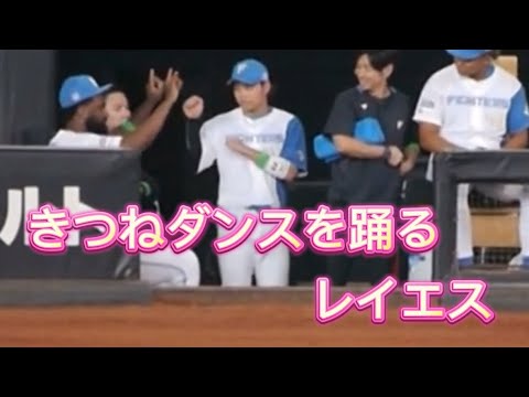 8/1 きつねダンスも完璧に踊れるレイエス