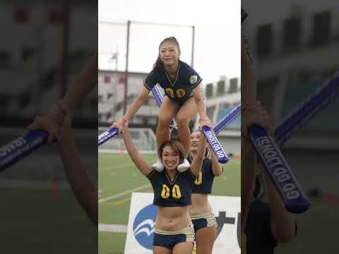 2024/09 All Mitsubishi Lions Cheerleaders #cheerleader