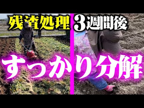 【あれ程あった残渣が・・】土作りやり方はこの方法に変えて行きます【こまめ】【ホンダF220】【ニュースターローターDX】【耕うん機】