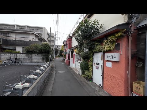 [Tokyo Edition] A walk starting from Chitose Karasuyama Station: 4K Japan