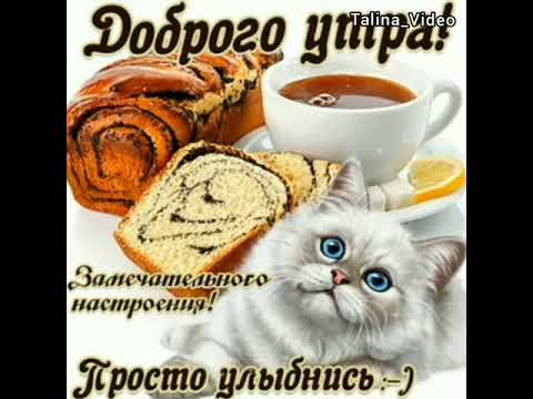 С ДОБРЫМ УТРОМ!☀️ ЗАРЯД ПОЗИТИВОМ НА ВЕСЬ ДЕНЬ☕ ПОЗИТИВНАЯ МУЗЫКАЛЬНАЯ ВИДЕО-ОТКРЫТКА!☀️☀️☀️