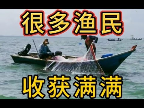 渔民打鱼收获满满。曾梦想仗剑走天涯，看一看世界的繁华。年少的心总有些轻狂，如今你四海为家。世界确实繁华，旅行吧。The fishermen harvested a lot.