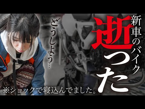 【閲覧注意】新年早々新車のバイクを壊してしまって寝込んでました