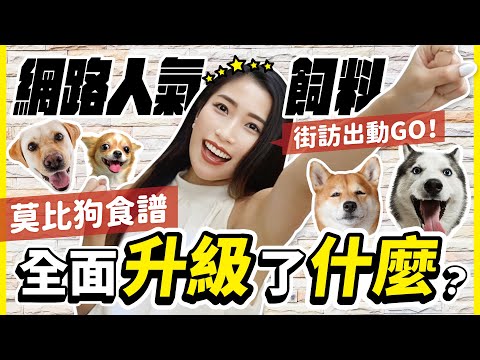 網路人氣飼料 莫比狗食譜全面升級了什麼？😍｜東仔廣播  Feat. 莫比自然食