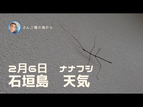 【石垣島天気】2月6日12時ごろ。15秒でわかる今日の石垣島の様子。