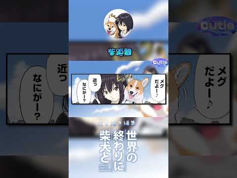 【世界の終わりに柴犬と】切り抜き編集 # s25 /柴距離/ #世界の終わりに柴犬と  #shorts