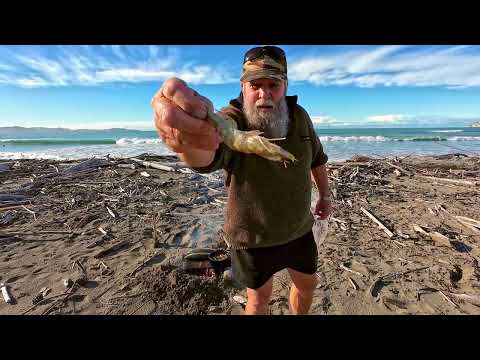 Beach Cook, Gisborne New Zealand 4K