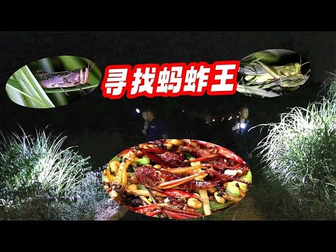 半夜上山开路捉蚂蚱，只为极品野味“油炸蚂蚱”！广西下酒神菜