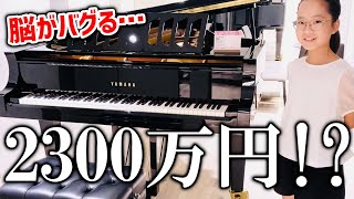 【衝撃】超高級ピアノの値段を聞いて脳がバグった家族