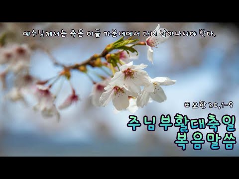 생활성가 - 주님 부활 대축일 복음 말씀 - 요한이 전한 거룩한 복음입니다. 20,1-9