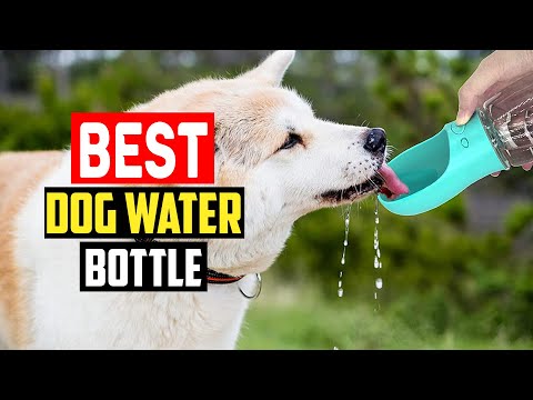 ✅Top 5 Best Dog Water Bottle in 2023