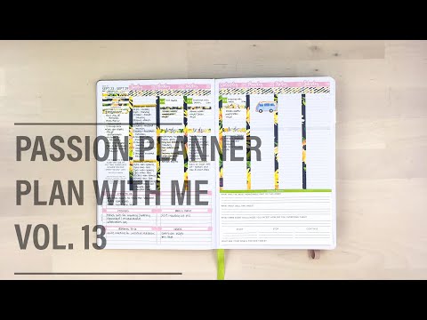 Passion Planner Plan With Me! |  Vol. 13 - CBD Sunflower Kit