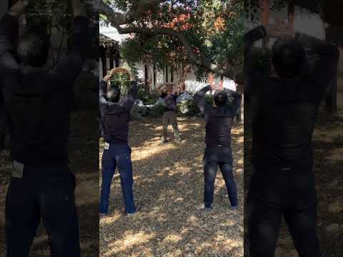 Zheng Bo Garden Exercises