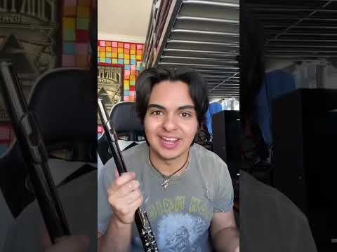 Wonderwall (Flute Cover)