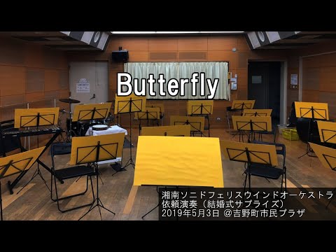 Butterfly