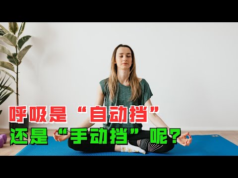 呼吸是“自动挡”，还是“手动挡”呢？