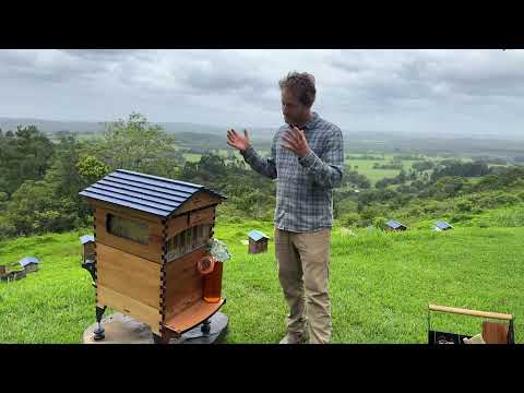 Can you harvest honey in the rain?