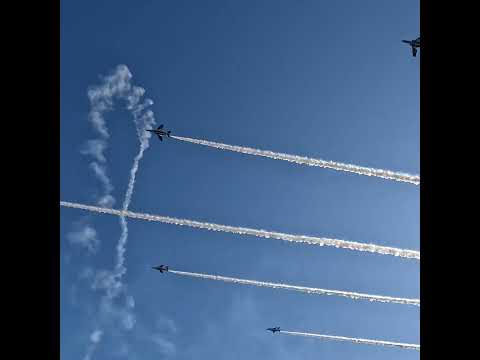 やっぱりブルーはカッコいい！ブルーインパルス @入間基地航空祭 2024 Blue Impulse @ Iruma Air Base Air Show 2024 #shorts