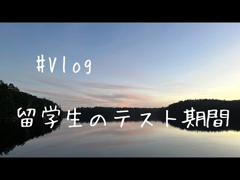 【日常Vlog】スウェーデン留学生のテスト期間🇸🇪