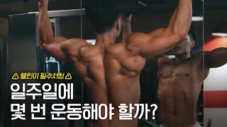 【분할법】 2분할, 3분할? 운동 횟수가 아주 중요합니다. (분할법/반복수/루틴짜는법)