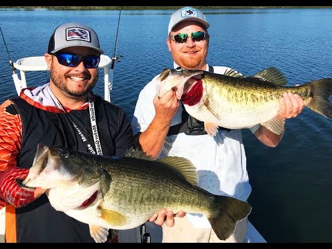 Fishing For A 60lb Bag of Largemouth Bass