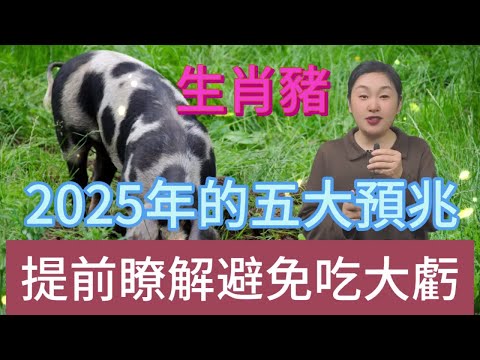 生肖豬注意！2025 年五大预兆揭晓，屬豬人早知道早受益，少吃亏赢未来！#風水 #生肖 #運勢 #佛教 #命理