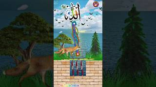 Mera Nabi Hai #trending #shortvideo #viralreels #vfxshorts #allah #video #subscribe #cartoon