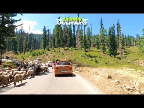 4K Drive To Gulmarg | Most Beautiful Place in India | Kashmir Tour