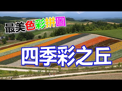 【夏日北海道自由行】著名的四季彩之丘，擁有如拼圖一般的彩色花田，相當漂亮。在展望之丘上登高遠望，可以看見整個美瑛附近的自然環境風貌，令人心曠神怡。