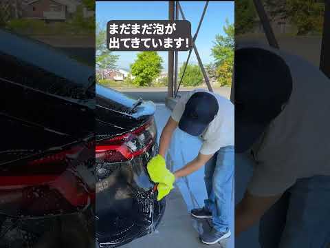 1回シャンプー液を含ませたら中型車１台洗えるってホント…？？  #soft99 #ソフト99