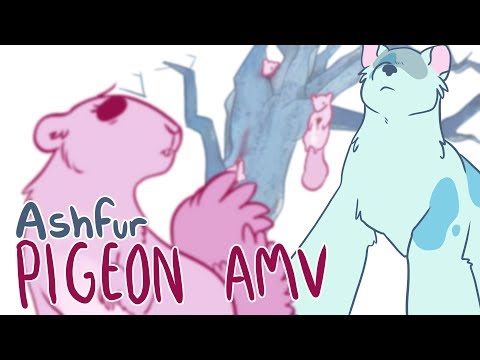 Ashfur Pigeon AMV [gore warning]