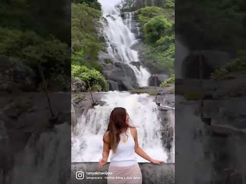 Beautiful waterfall in Munnar, Kerala | Monsoon in Kerala #travelshorts #tanyakhanijowshorts