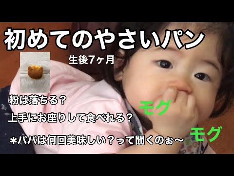 【初めてやさいパンを食べる赤ちゃん】一人で上手に食べれるかな【生後7ヶ月】粉がボロボロすぎた、パパは美味しいかどうか気にしすぎです