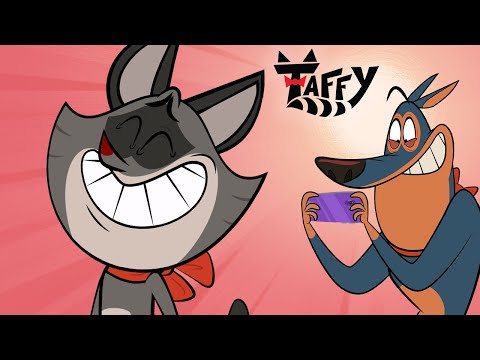 The most fashionable raccoon | Taffy - Clips in English