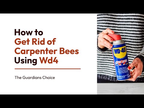 Easy Ways to Get Rid of Carpenter Bees Using Wd40 | The Guardians Choice