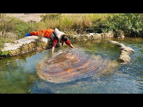 The clams in Qingshui River are different, the dazzling pearls are very charming